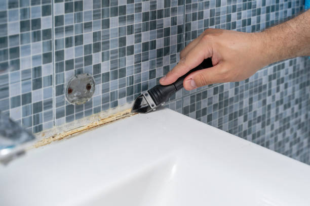 Best Mold Remediation Experts  in Calumet City, IL